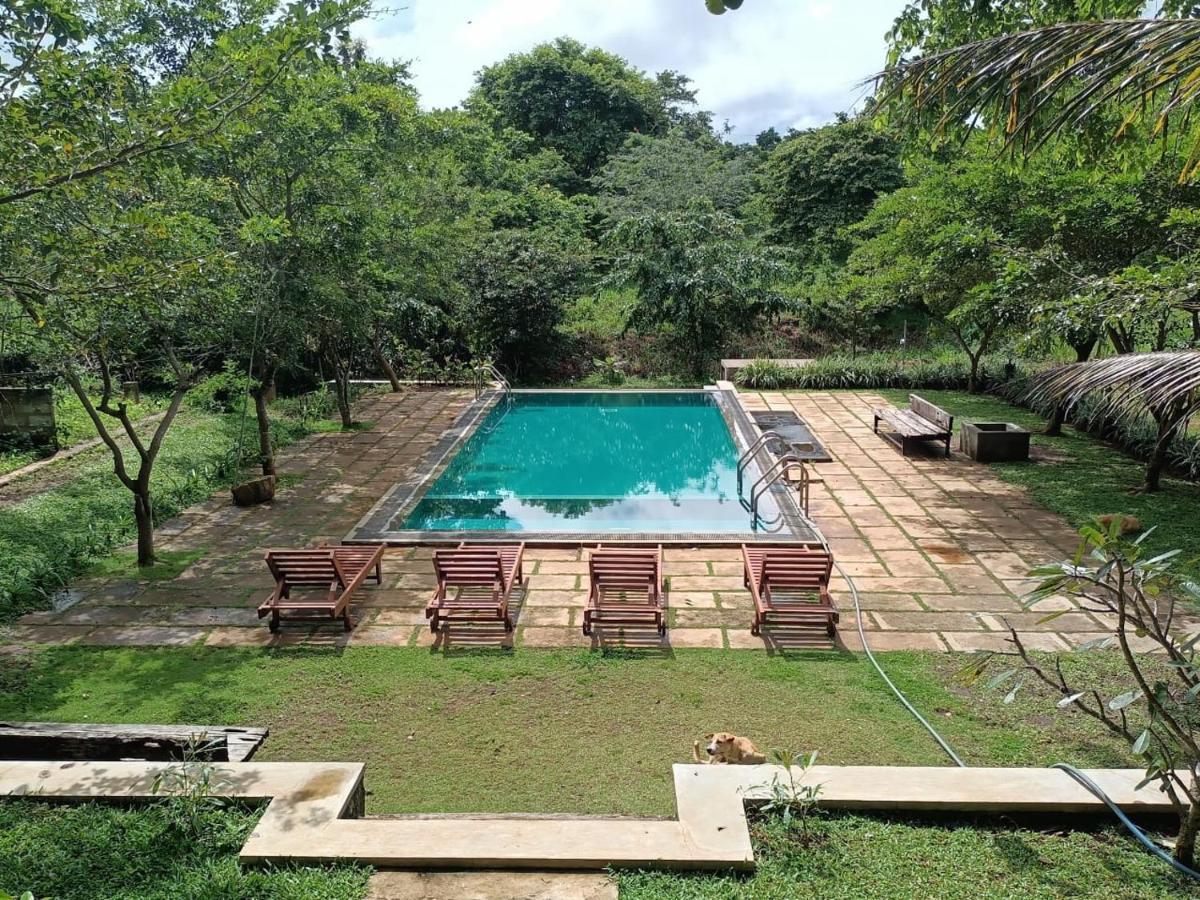 Spice Village Hotel & Restaurant Habarana Bagian luar foto