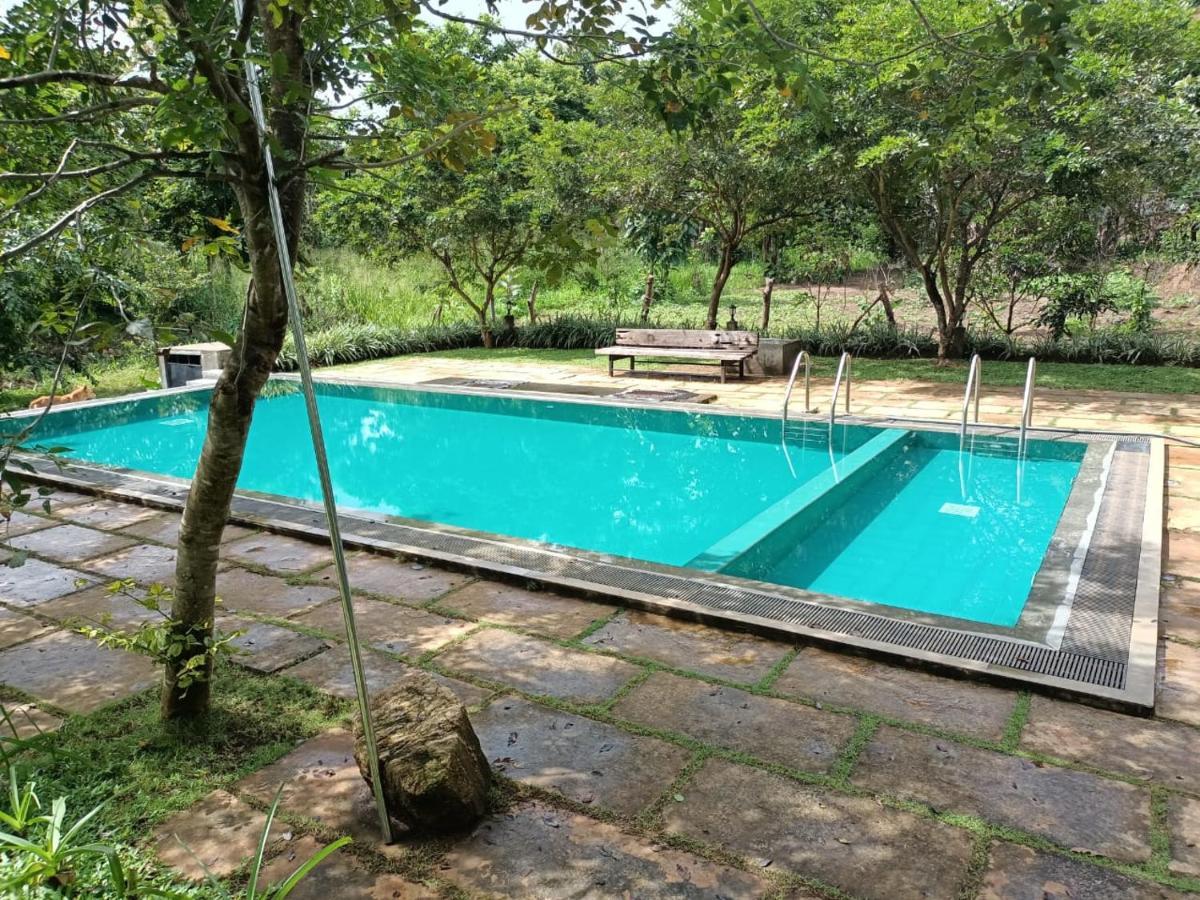 Spice Village Hotel & Restaurant Habarana Bagian luar foto